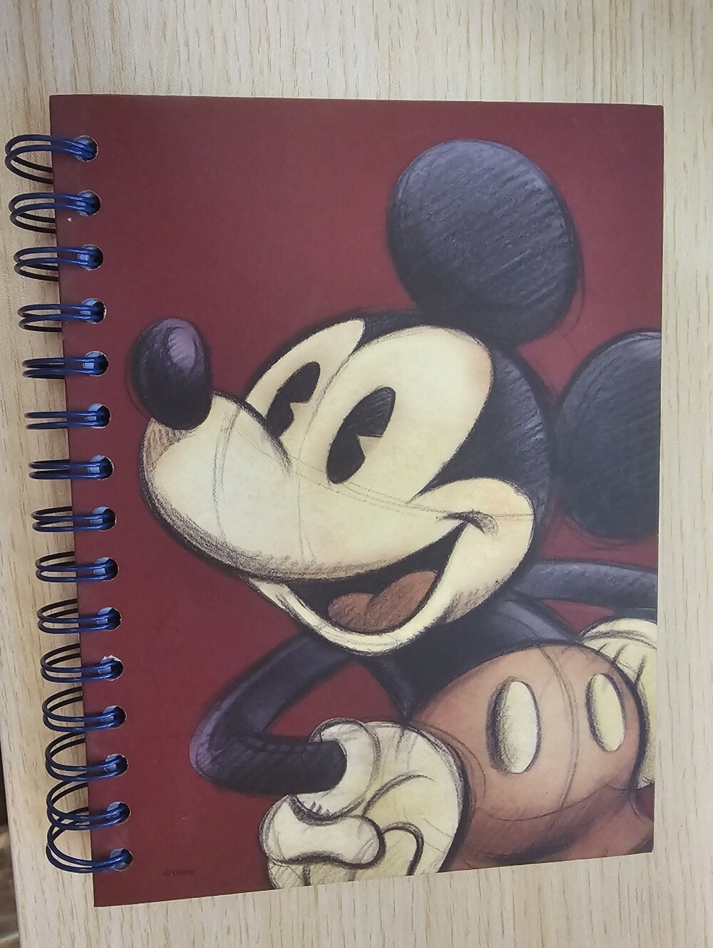 Vintage Disney Mickey Mouse Spiral Journal